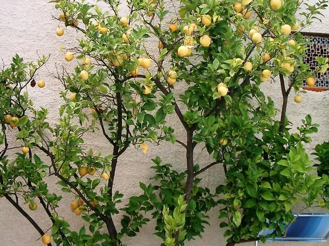 Ca' Ligure * Pietra Ligure