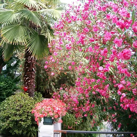 Hotel Ca' Ligure *